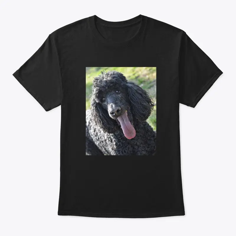 Poodle Merchandise