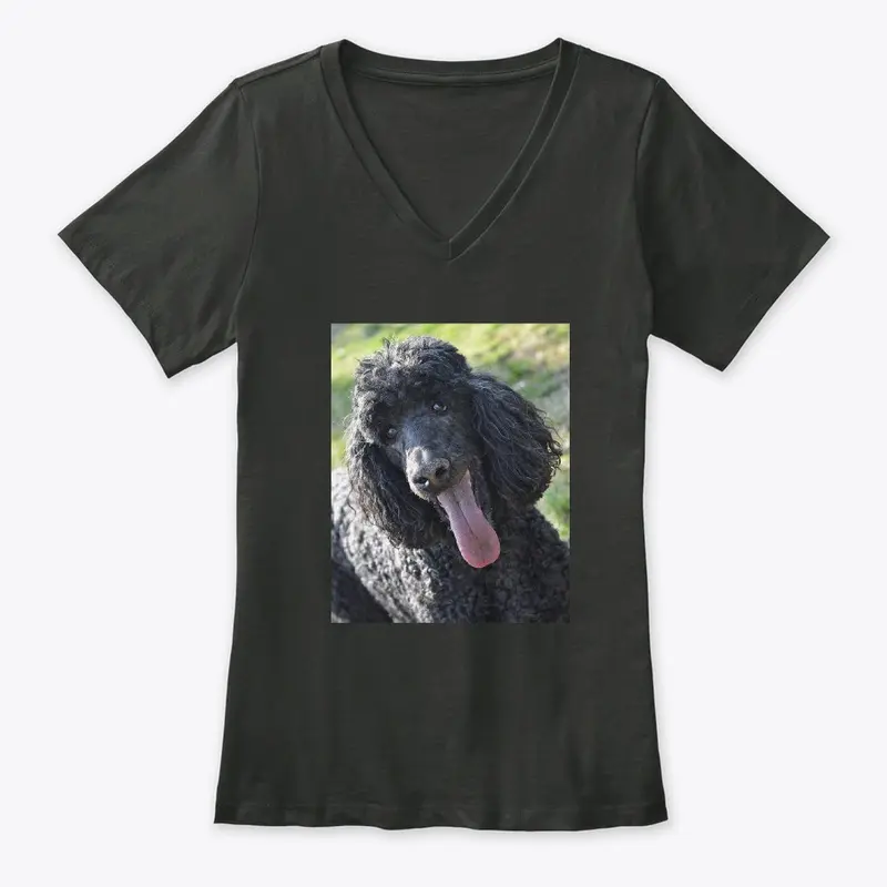 Poodle Merchandise