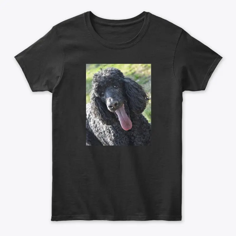 Poodle Merchandise