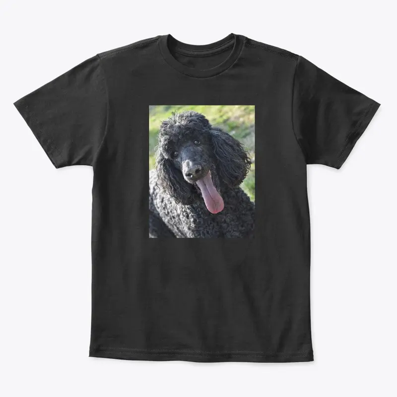 Poodle Merchandise